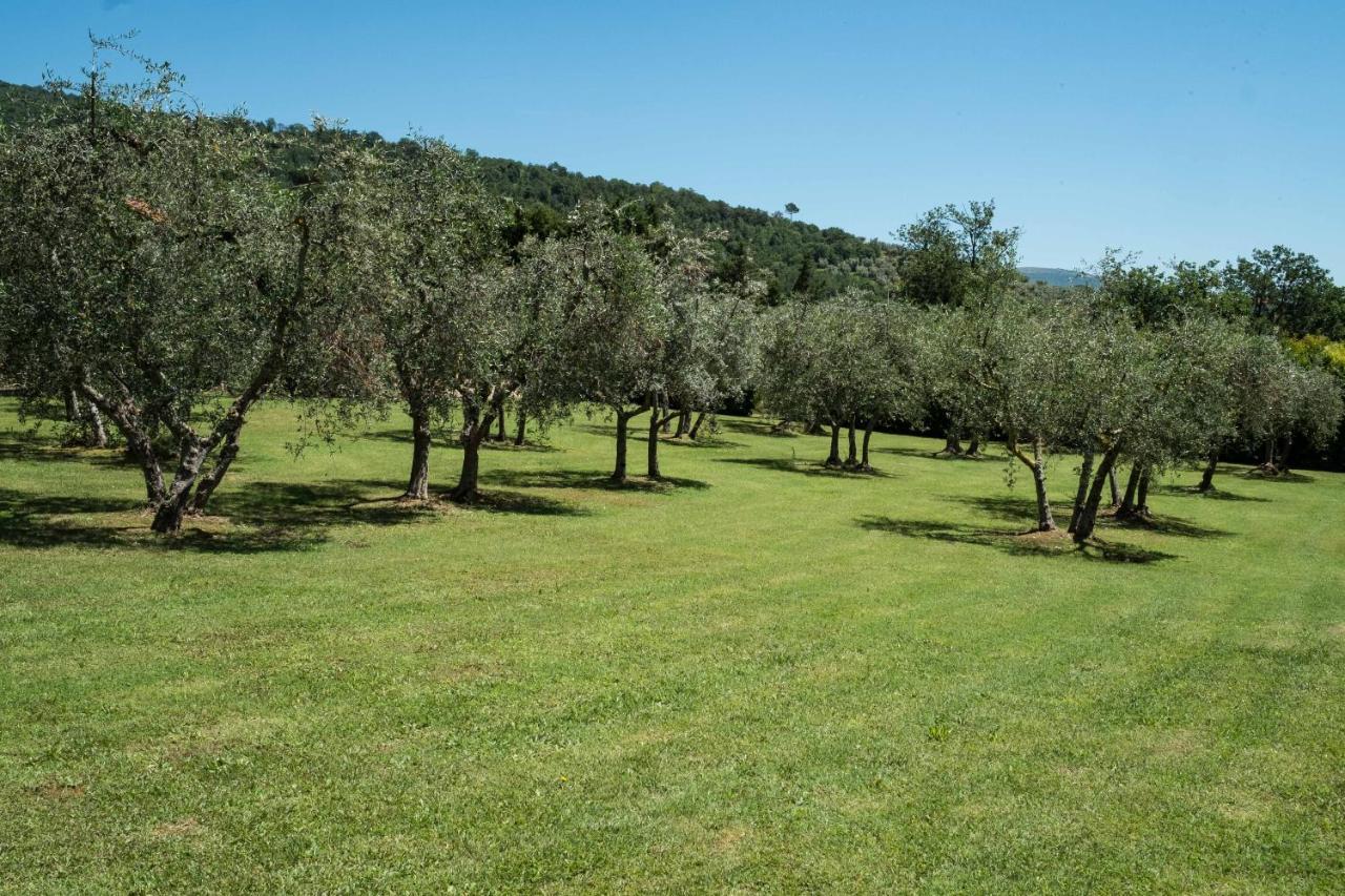 La Casa Delle Rose Villa Terranuova Bracciolini Luaran gambar