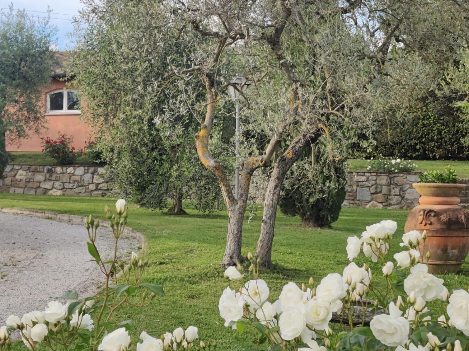 La Casa Delle Rose Villa Terranuova Bracciolini Luaran gambar